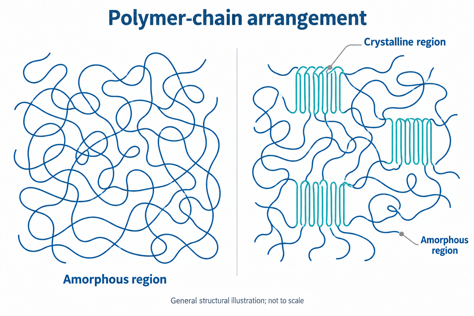 Figure 2. General illustration of amorphous chains and coexisting crystalline and amorphous regions; not a measured R-5610 microstructure.