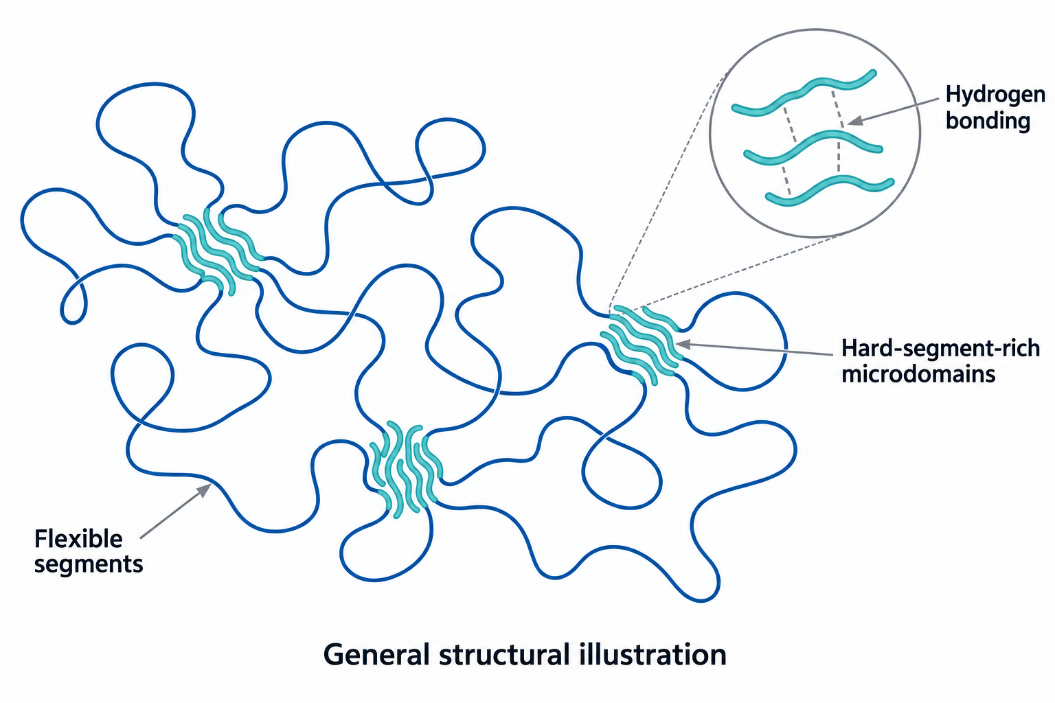 Figure 3. General illustration of polyurethane soft segments and hard-segment-rich microdomains; physical domains are not chemical crosslinking points.