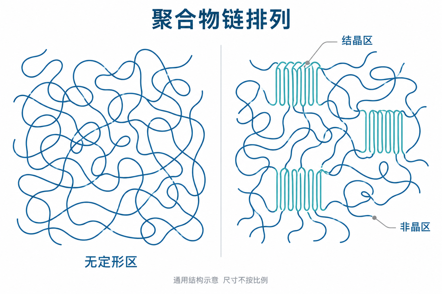 聚合物无定形结构与晶区、非晶区共存的机理示意