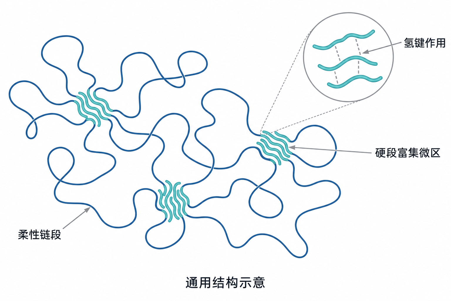 分段聚氨酯柔性链段、硬段富集微区与氢键示意