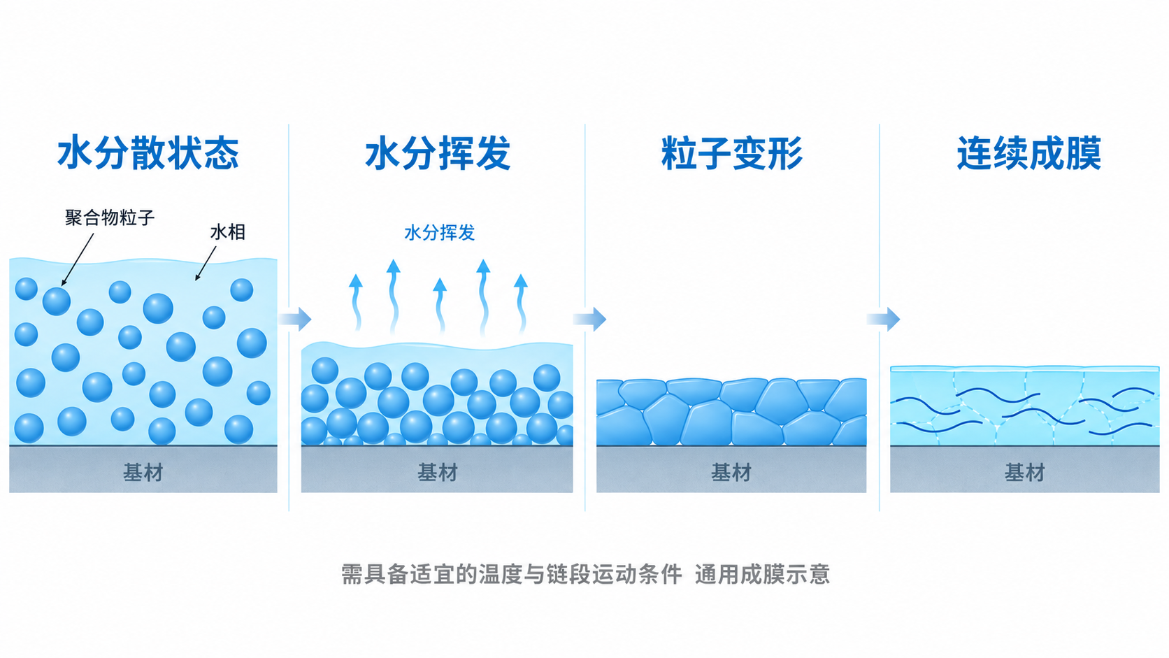 水分散、挥发、粒子变形到连续成膜的通用过程