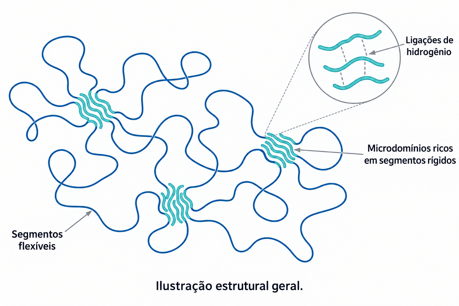 Figura 3. Ilustração geral de segmentos flexíveis e microdomínios ricos em segmentos rígidos; domínios físicos não são pontos de reticulação química.