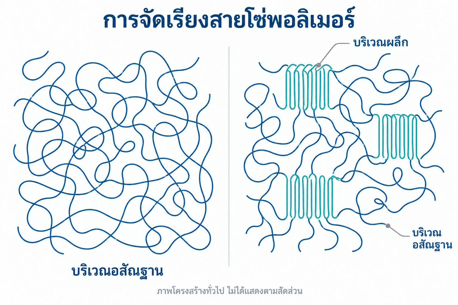 ภาพแนวคิดของโครงสร้างอสัณฐานและบริเวณผลึกในพอลิเมอร์