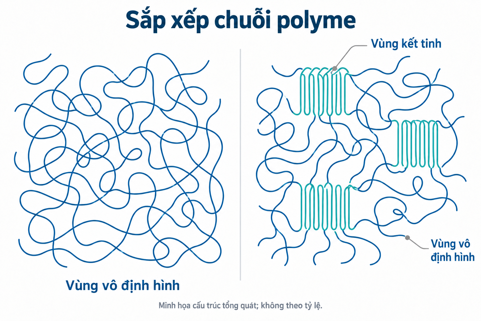 Sơ đồ chung về chuỗi polyme vô định hình và cấu trúc có vùng tinh thể cùng tồn tại với vùng vô định hình.